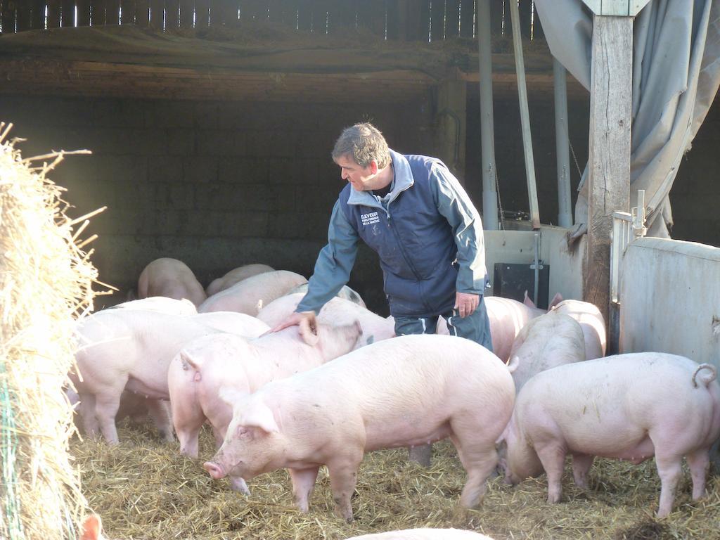 Chantenay-Villedieu La Ferme Chauvet Bed & Breakfast エクステリア 写真